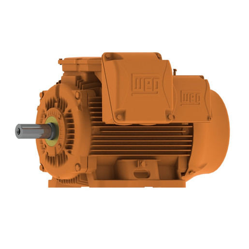 WEG Elektromotoren für den Bergbau