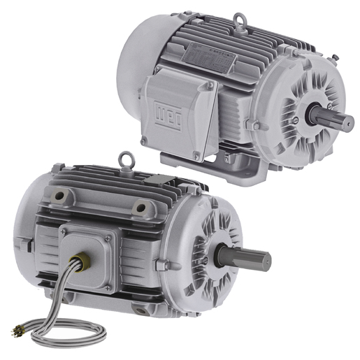 WEG Zu- und Abluftsysteme / Brandgasmotoren
