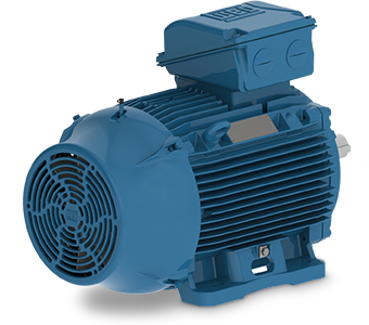 W22 Motor von WEG