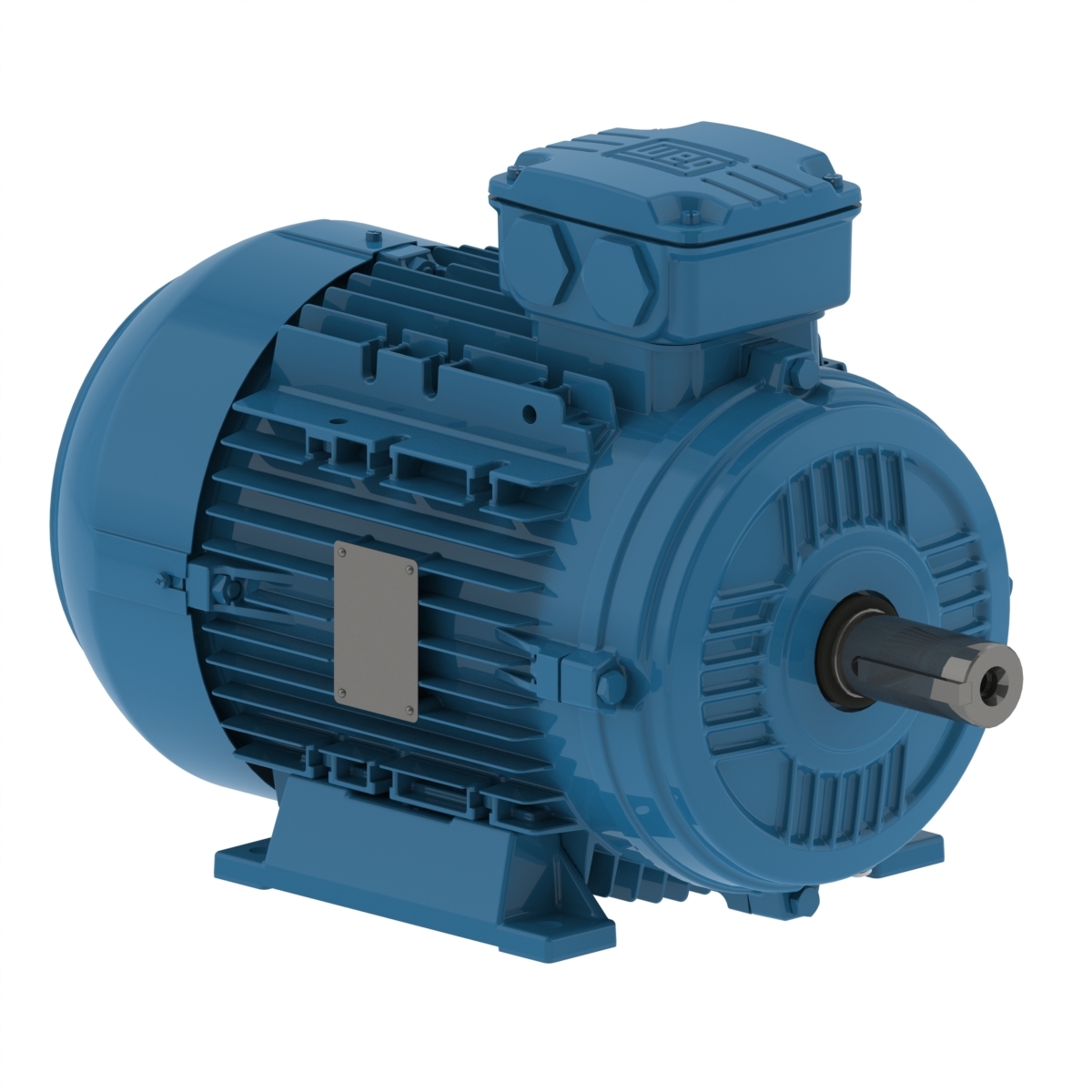 WEG W21 Motoren