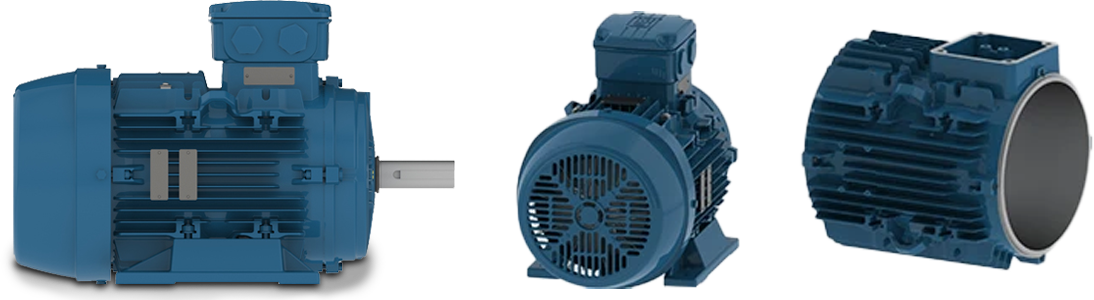 WEG W21 Motor Reparatur Service