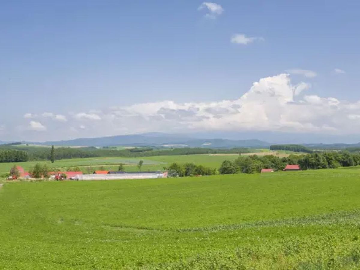 Wasserversorgung in der Landwirtschaft