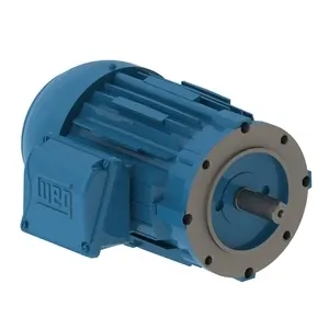 W22 High Efficiency 1 HP 2P 145TC 3F 230/460//380 V 60//50 Hz IC411 - TEFC