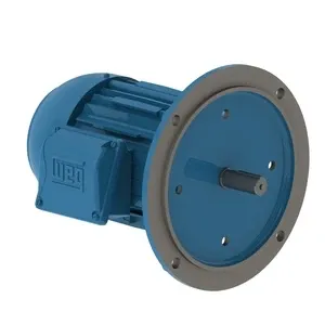 W22 High Efficiency 1 HP 2P 145TD 3F 230/460//380 V 60//50 Hz IC411 - TEFC