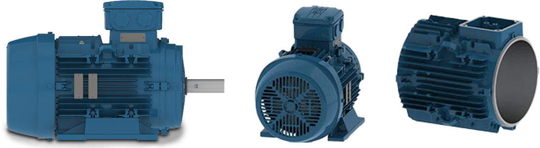 WEG W21 Motor Reparatur Service