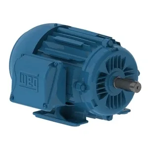 W22 High Efficiency 1 HP 4P 143/5T 3F 208-230/460//380 V 60//50 Hz IC411 - TEFC