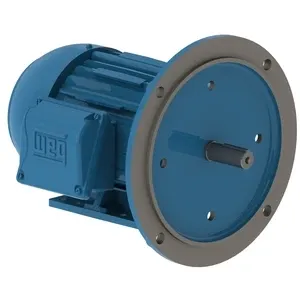 W22 High Efficiency 1 HP 2P 143/5TD 3F 230/460//380 V 60//50 Hz IC411 - TEFC