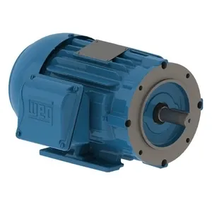 W22 High Efficiency 1 HP 2P 143/5TC 3F 230/460//380 V 60//50 Hz IC411 - TEFC